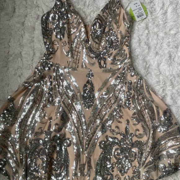 Windsor Dresses & Skirts - Nude dress with silver sequins (never worn, new with tags)